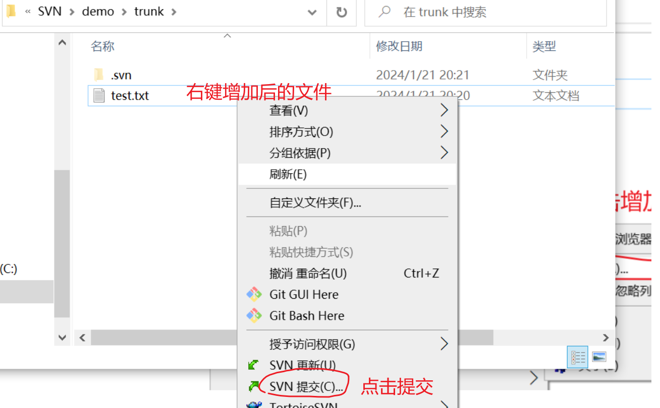 image-20240121202246801