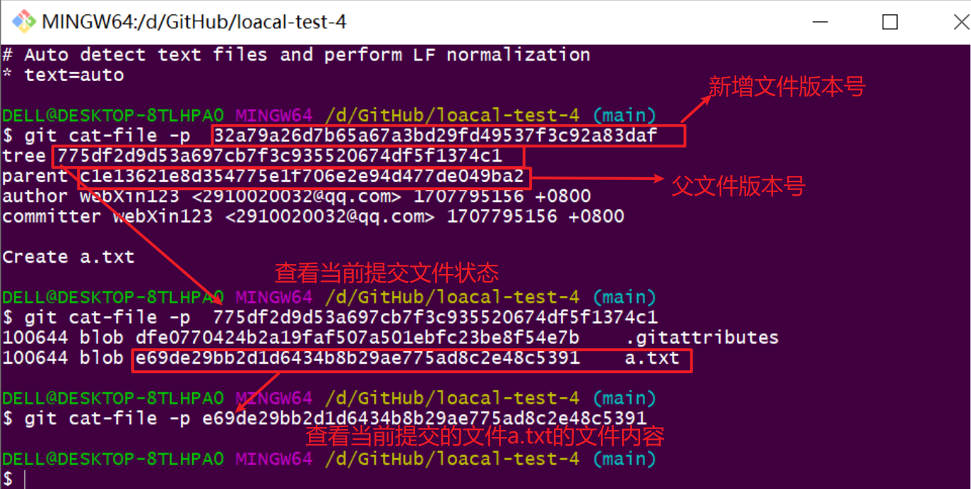 image-20240213114021223