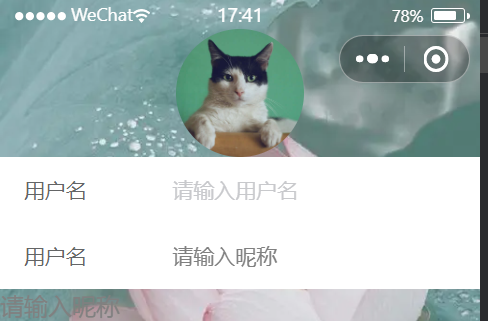 image-20241015174326322