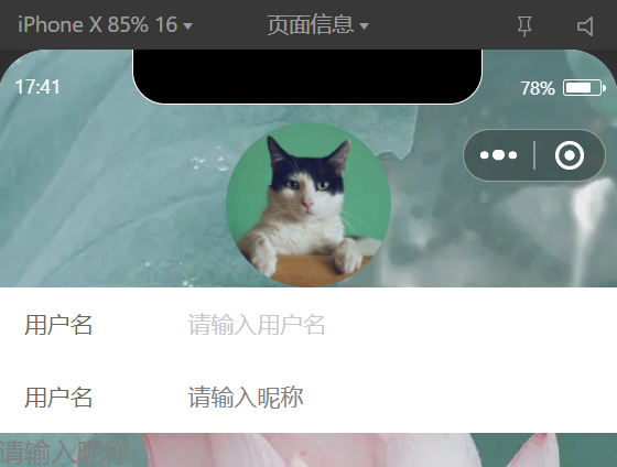 image-20241015174332198